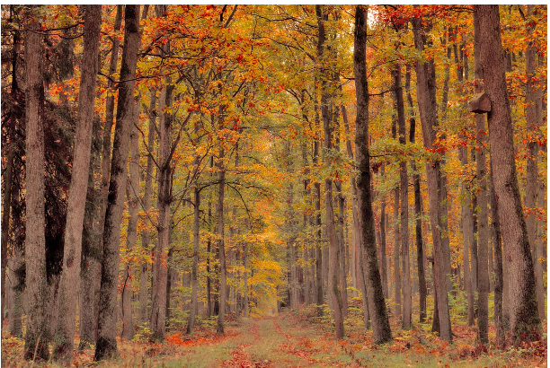 소리로 만나는 계절 단어