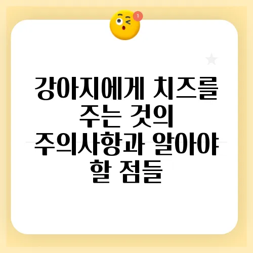강아지에게 치즈를 주는 것의 주의사항과 알아야 할 점들