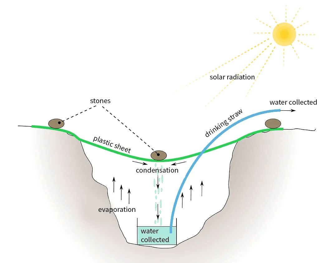 야생에서의 물 찾기와 정화 방법1