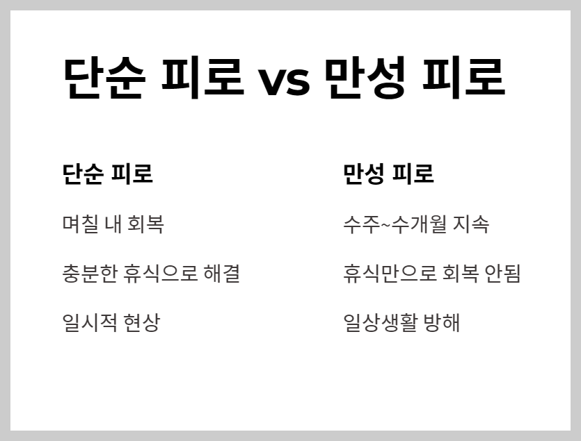 피로 회복 영양제 추천 