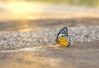 베트남 계절 날씨 건기 우기