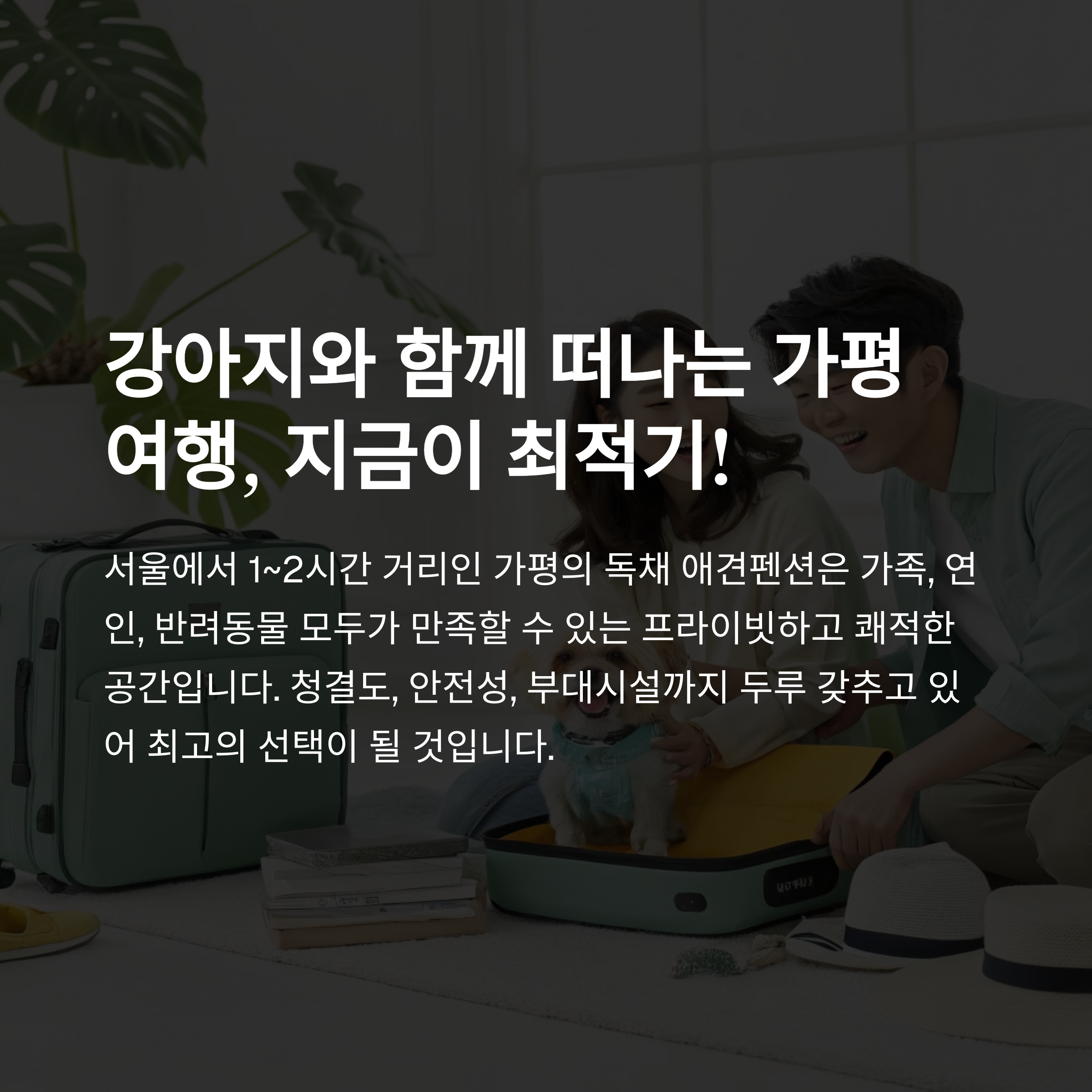 강아지와 함께 떠나는 가평 여행