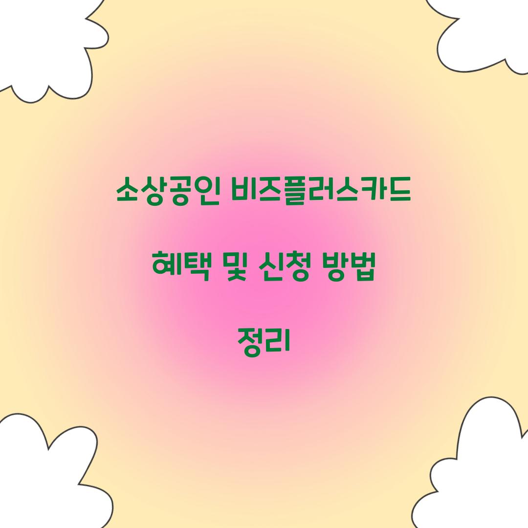 소상공인 비즈플러스카드