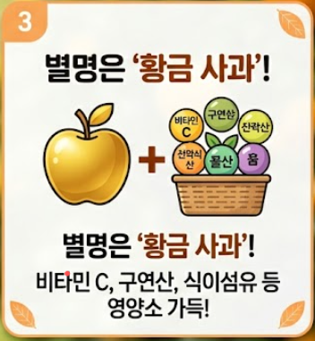 오렌지 효능