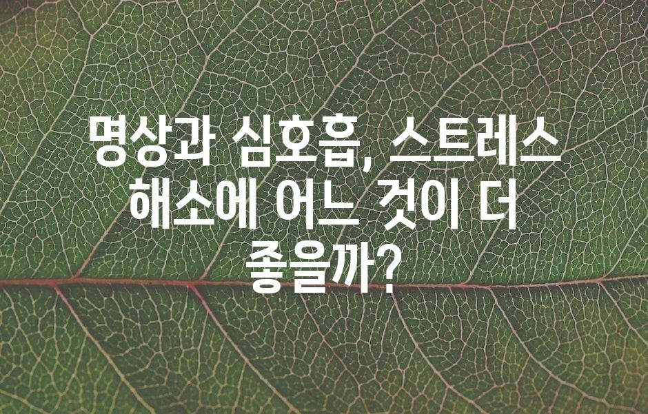 샘플 (43)