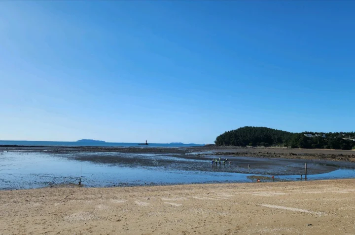 용신어촌체험마을