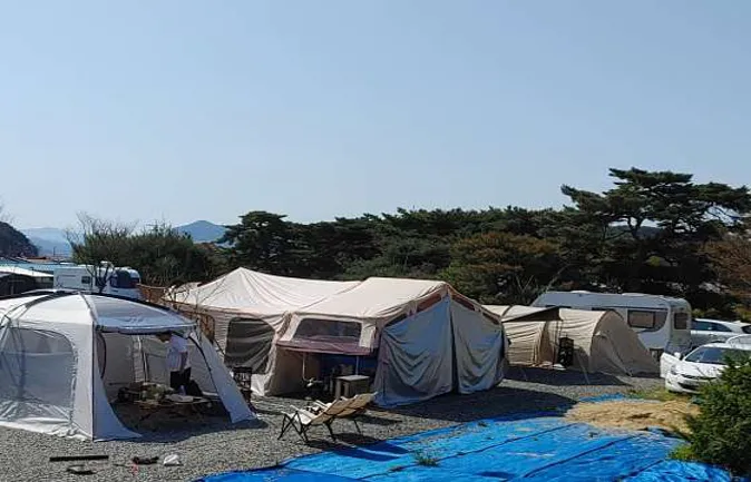정이품송관광농원