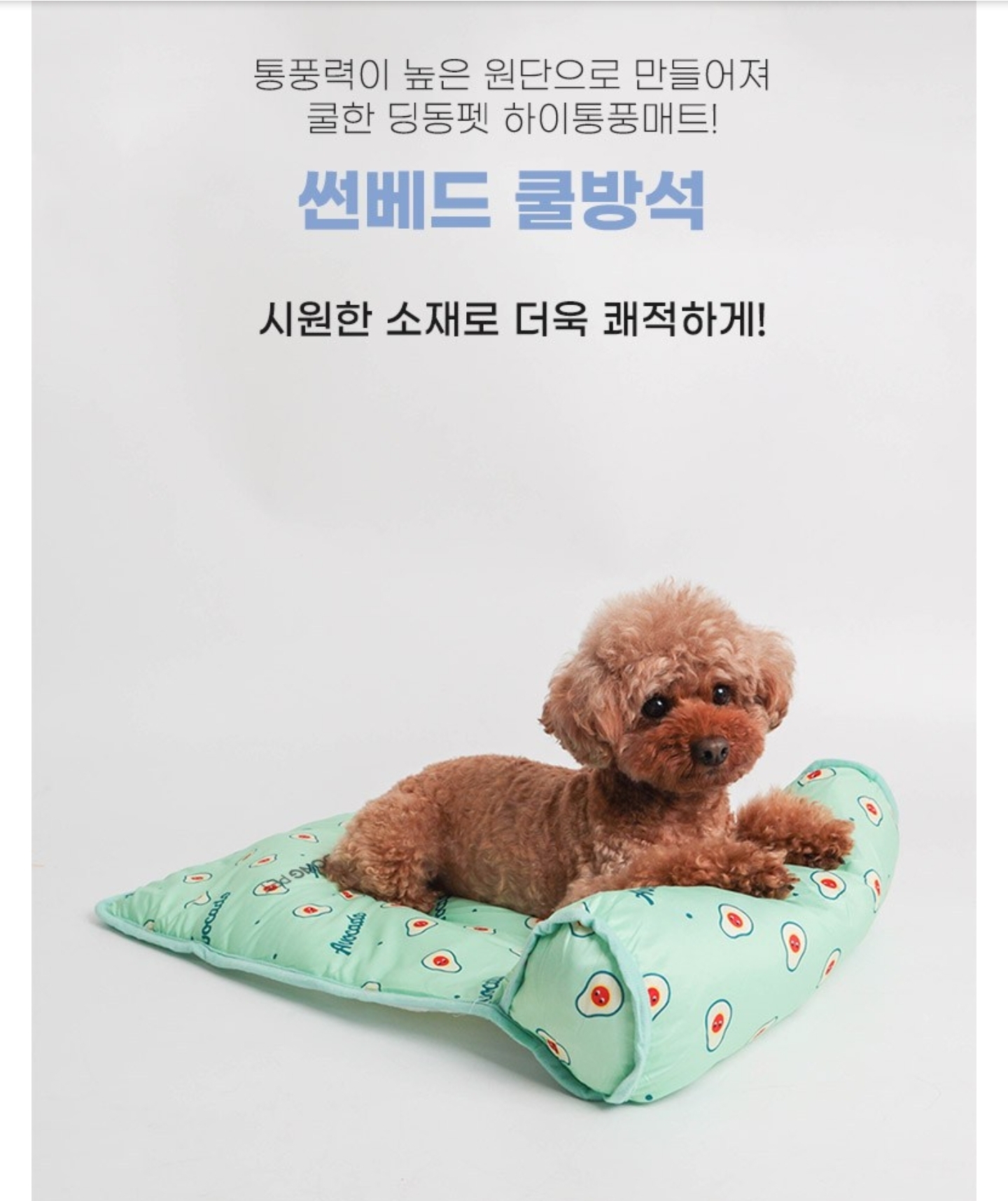 강아지 쿨매트 쿨방석