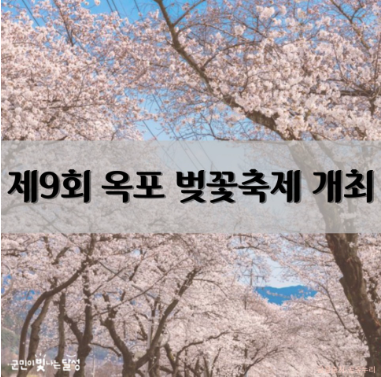벚꽃축제