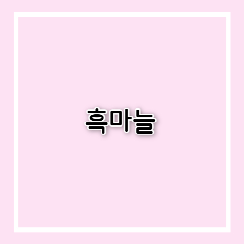 흑마늘 효능과 부작용