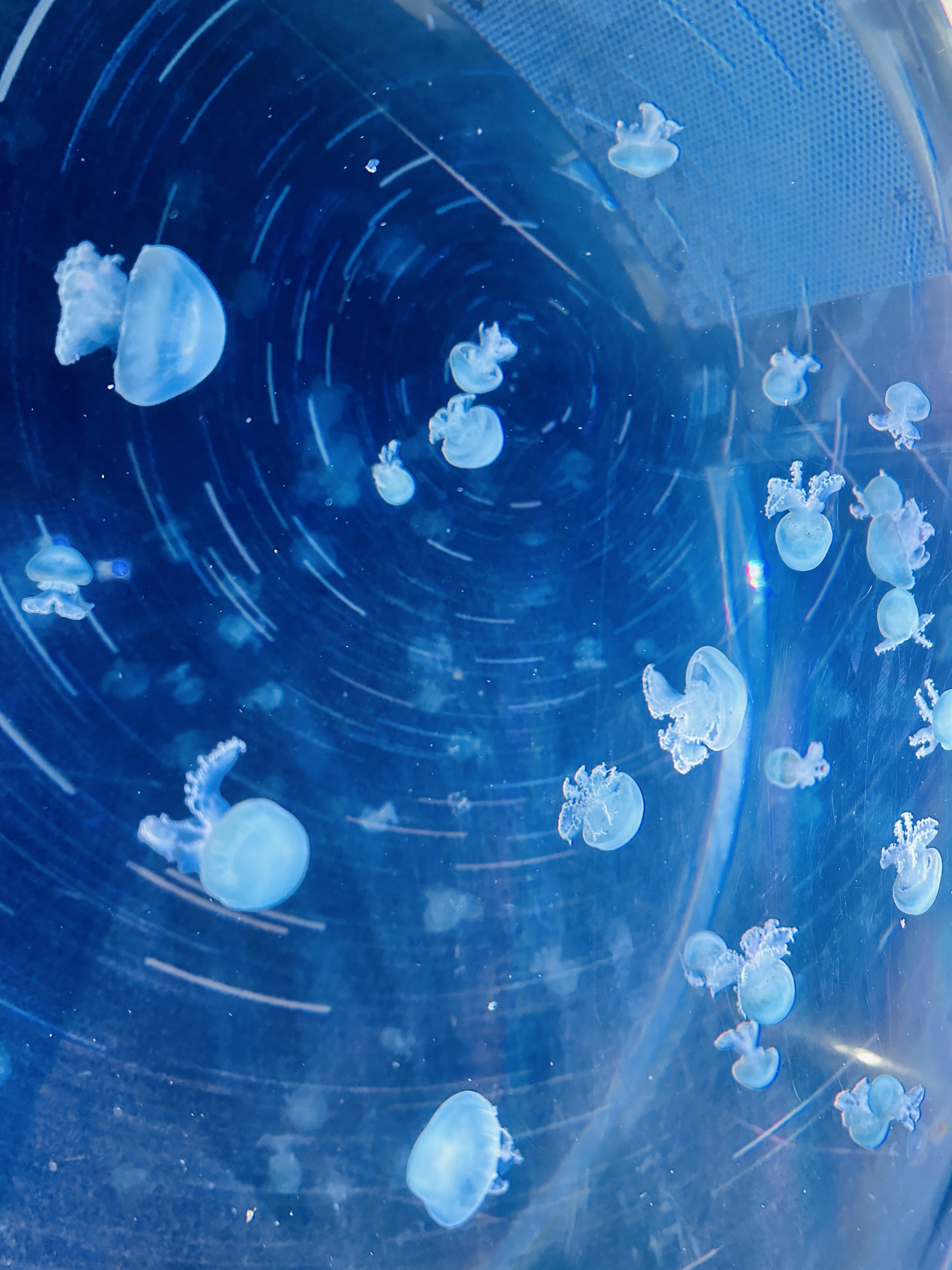 스마트폰 없이 3일간 살기 챌린지 – 진짜 힘들까?