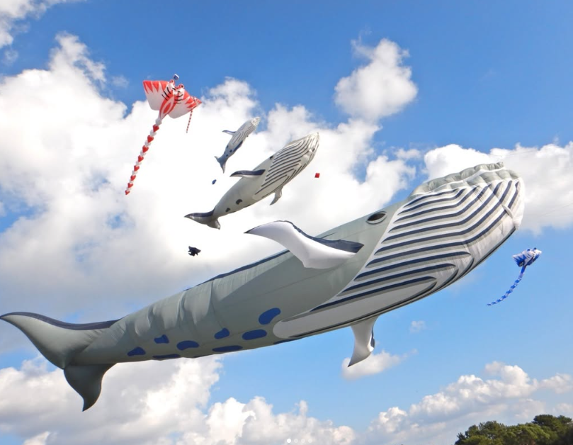 우미노나카미치 해변 공원