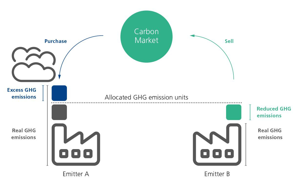 탄소배출권 ETF 추천 TOP 5 확인하러 가기