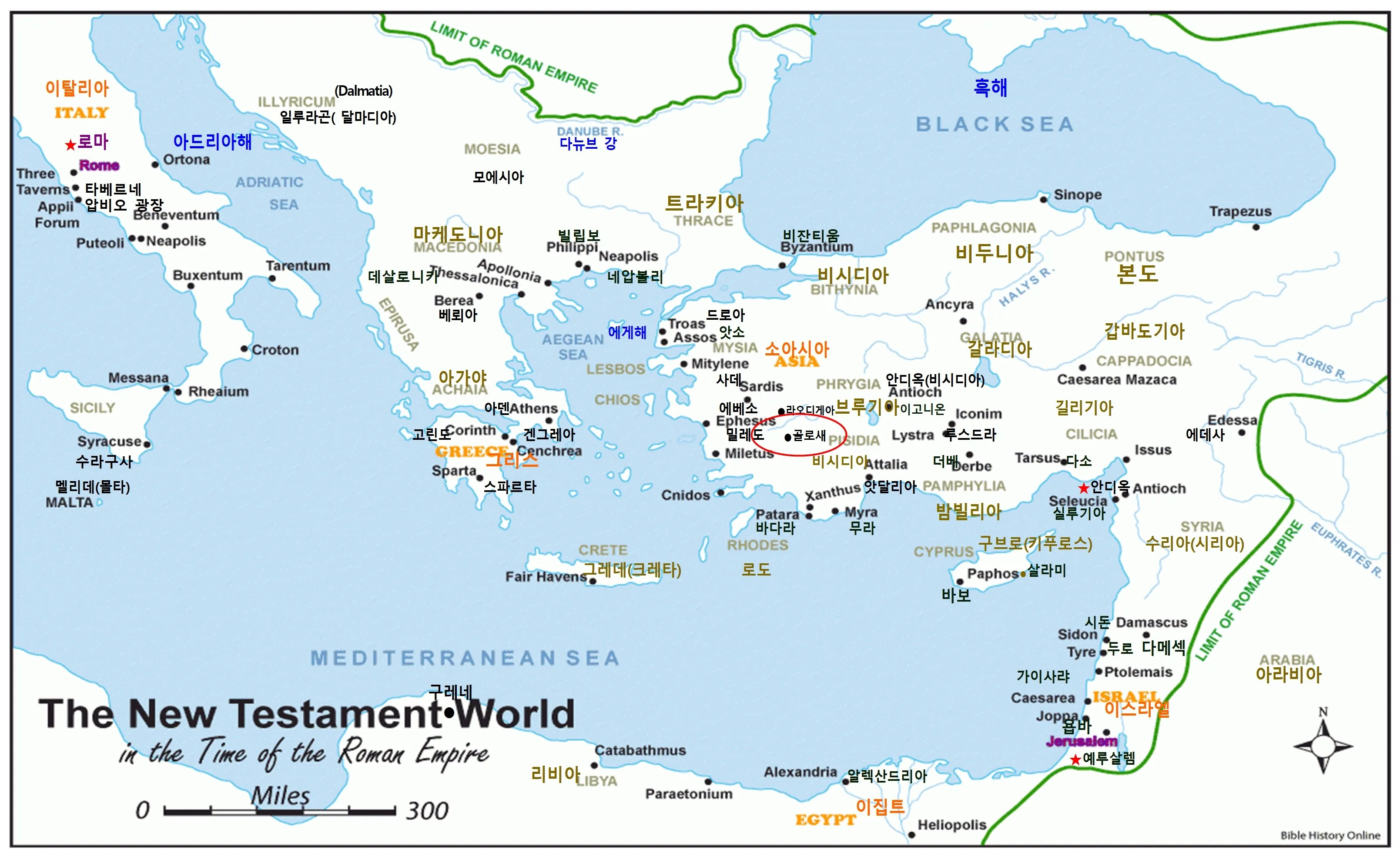 골로새서 2장 7절 묵상 - 그 안에 뿌리를 박으며 세움을 받아 교훈을 받은 대로 믿음에 굳게 서서_8