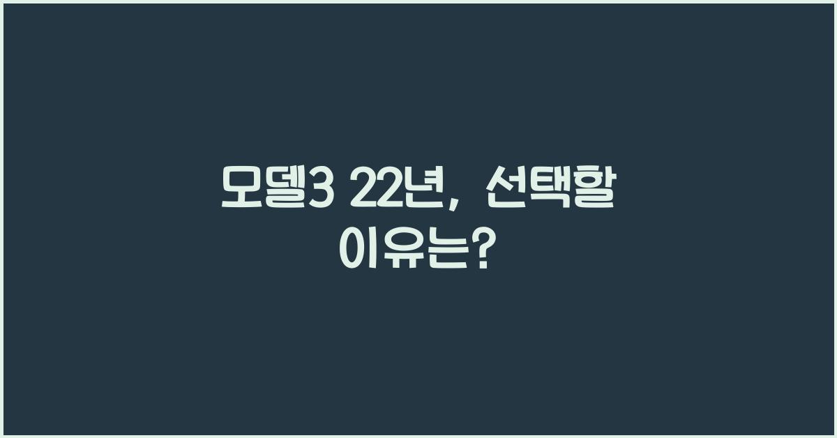 모델3 22년