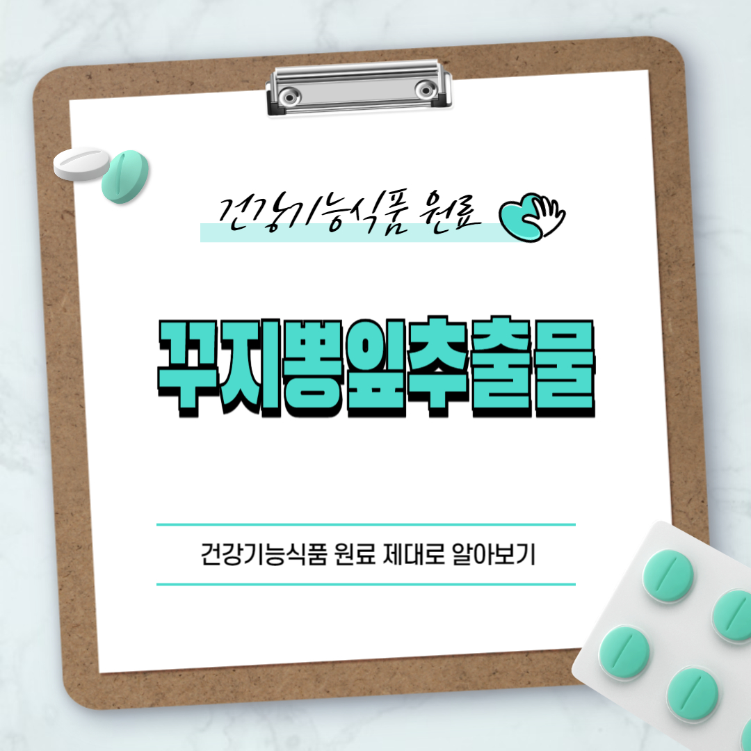 꾸지뽕잎추출물