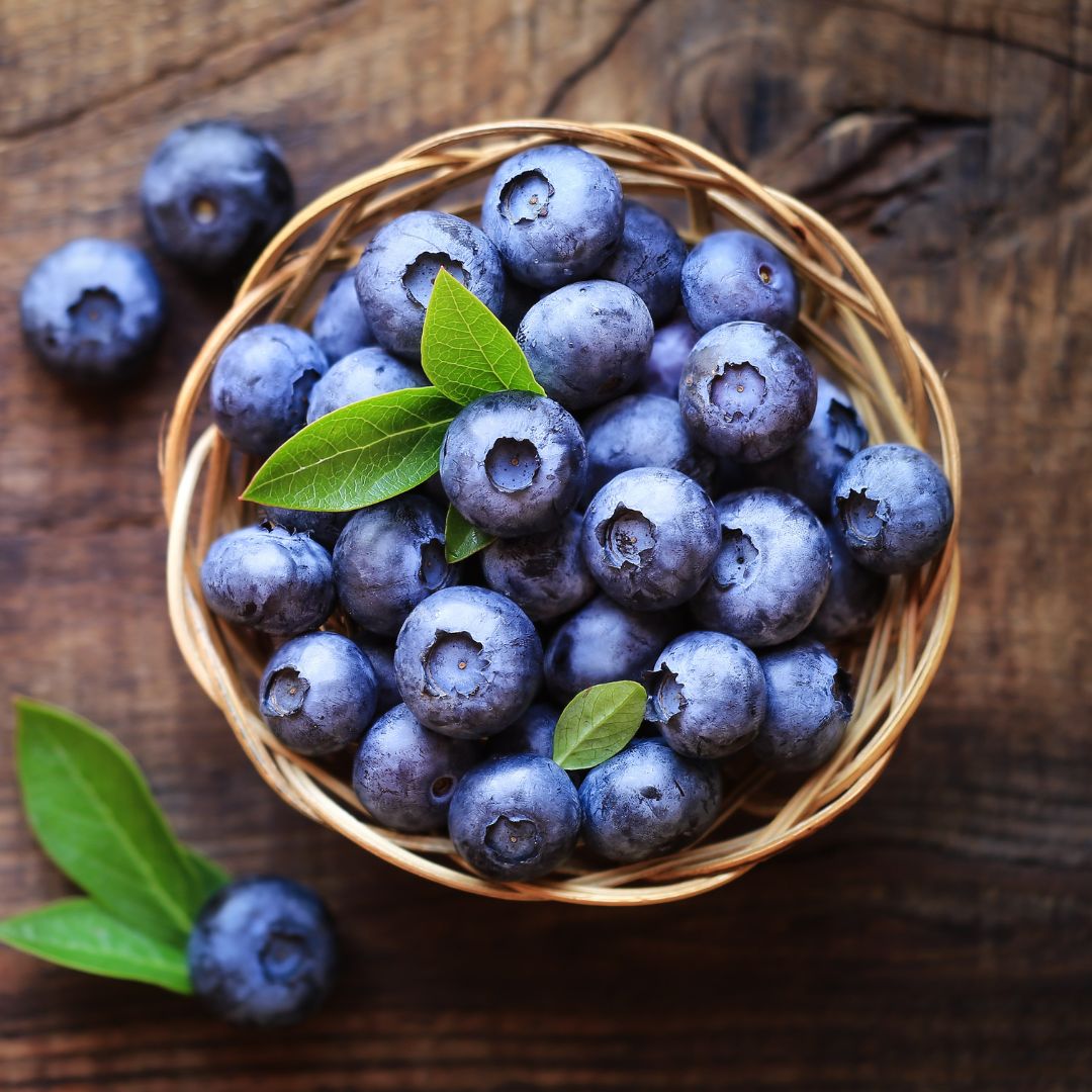 슈퍼푸드 블루베리