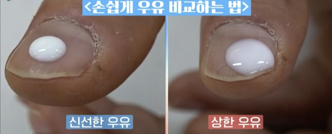 유통기한 지난 우유&amp;#44; 섭취 기준 및 활용법