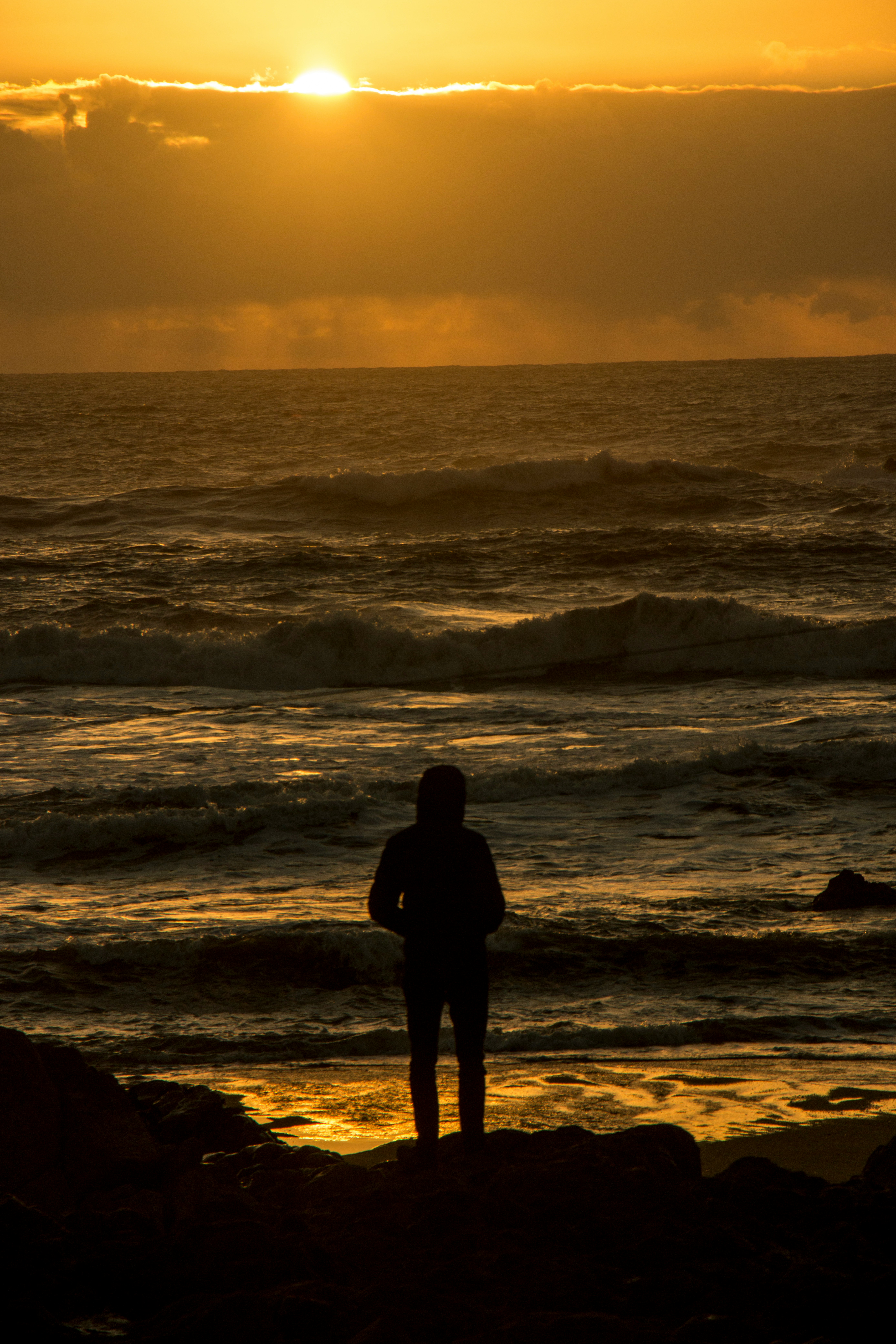 겨울 바다를 혼자 바라보는 뒷모습 실루엣 관련 사진