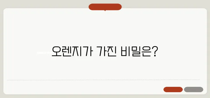 오렌지 효능 감기 예방부터 피부 미용까지