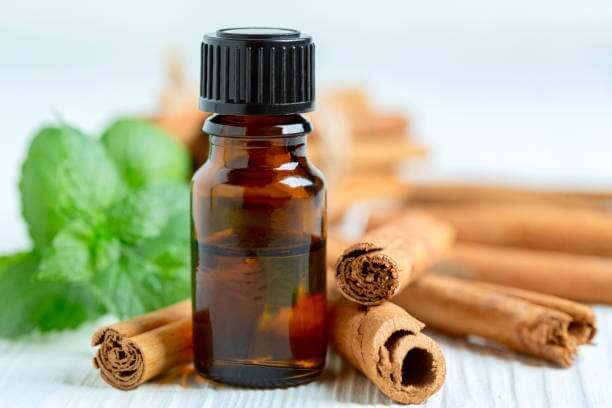 시나몬과 시나몬 에센셜 오일