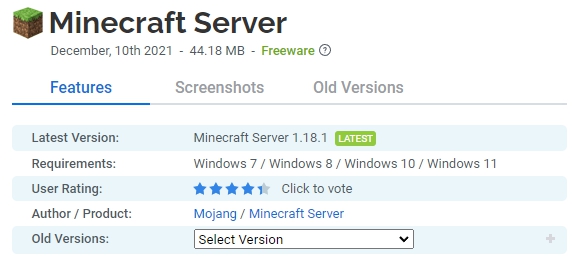 Minecraft-Server