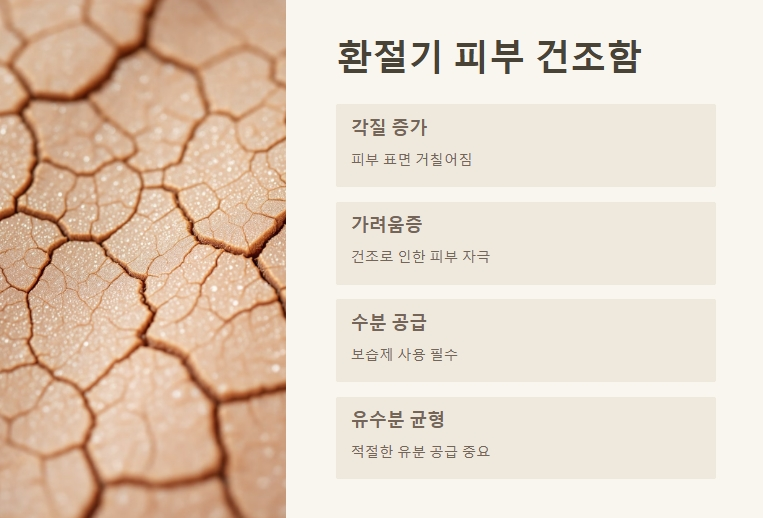 봄철 피부가 겪는 문제점 - 환절기 피부 건조함