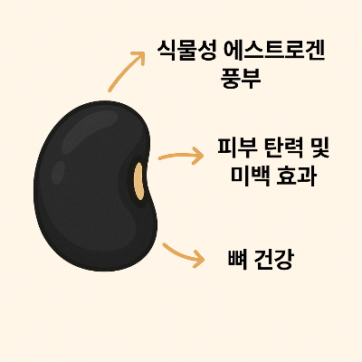 검은콩이 여성 건강에 좋은 이유를 설명하는 인포그래픽 이미지, 항산화 성분과 여성 호르몬 균형 관련 정보 포함