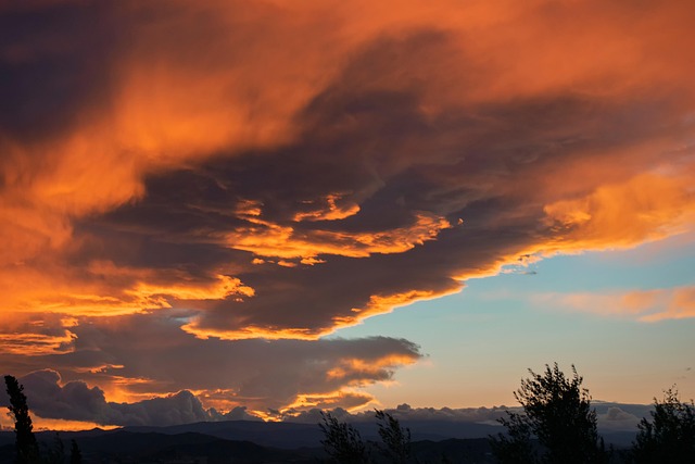 2025년 입추 날짜와 의미 날씨 특징