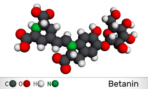 베타 레인 효능