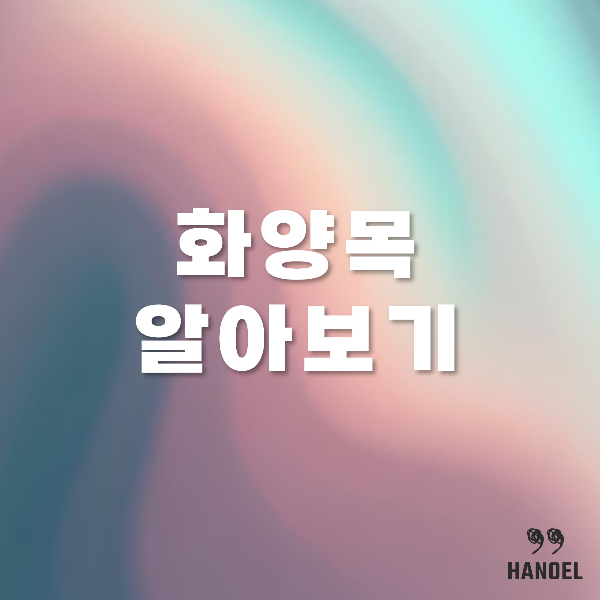 회양목 알아보기 키우기 병충해 관리와 삽목 심는방법