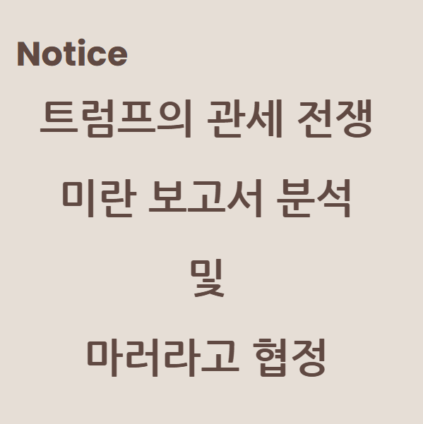 트럼프의 관세 전쟁과 '미란 보고서' 분석