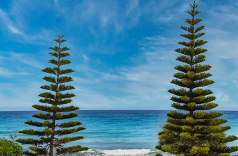 전국민 25만원 민생회복지원금 완벽 정리 22