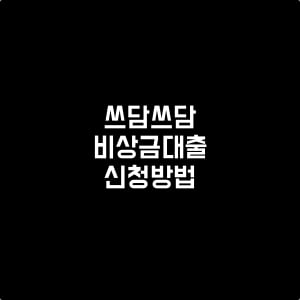 쓰담쓰담비상금대출