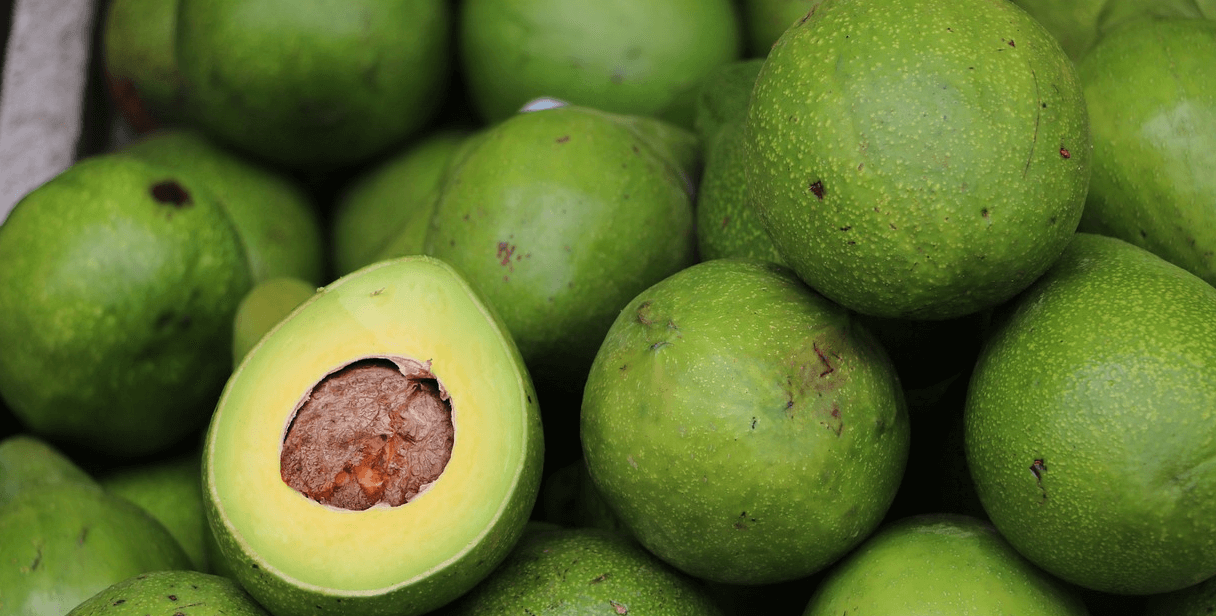 칼륨 많은 음식 사진 - 13