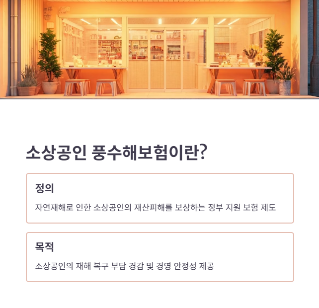 소상공인풍수해보험이란? (정의 및 필요성)