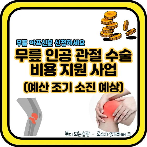 무릎 인공 관절 수술 비용 지원 사업