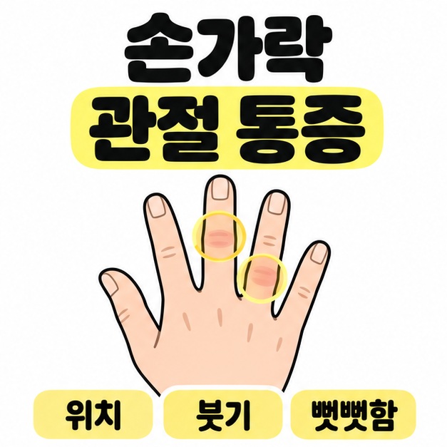손가락 관절 통증 제목 아래 손등의 두 마디를 노란 원으로 표시하고 위치와 붓기 및 뻣뻣함을 확인하도록 안내한 그림