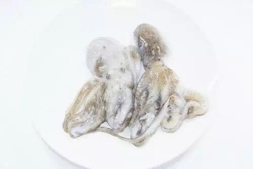 주꾸미