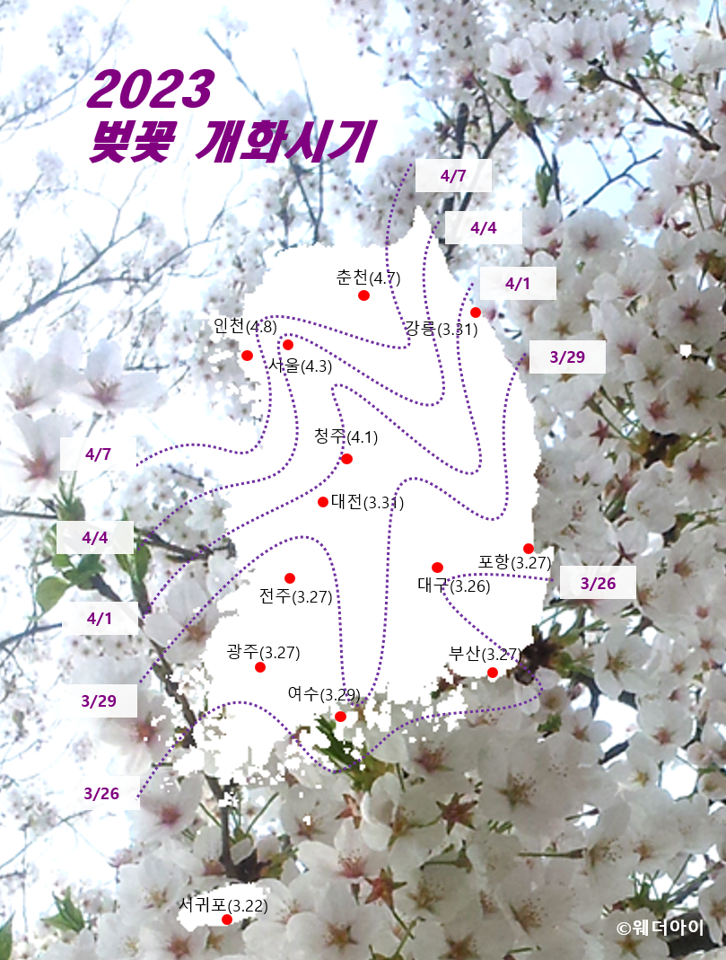 벚꽃개화시기지도