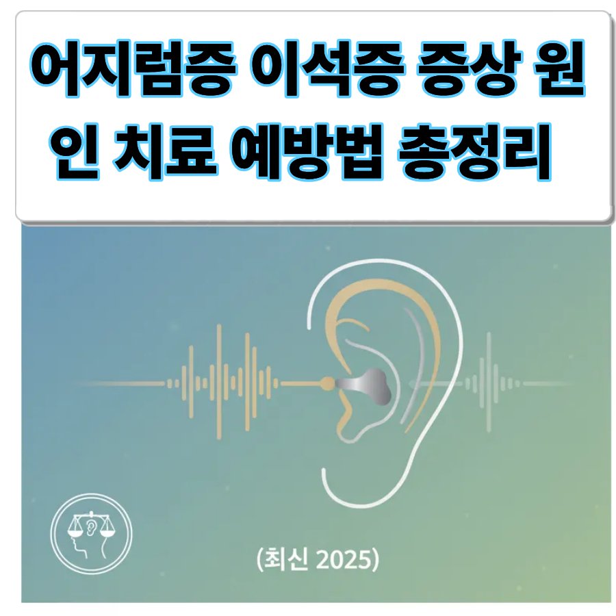 어지럼증- 이석증- 증상- 원인 -치료- 예방법-2025년