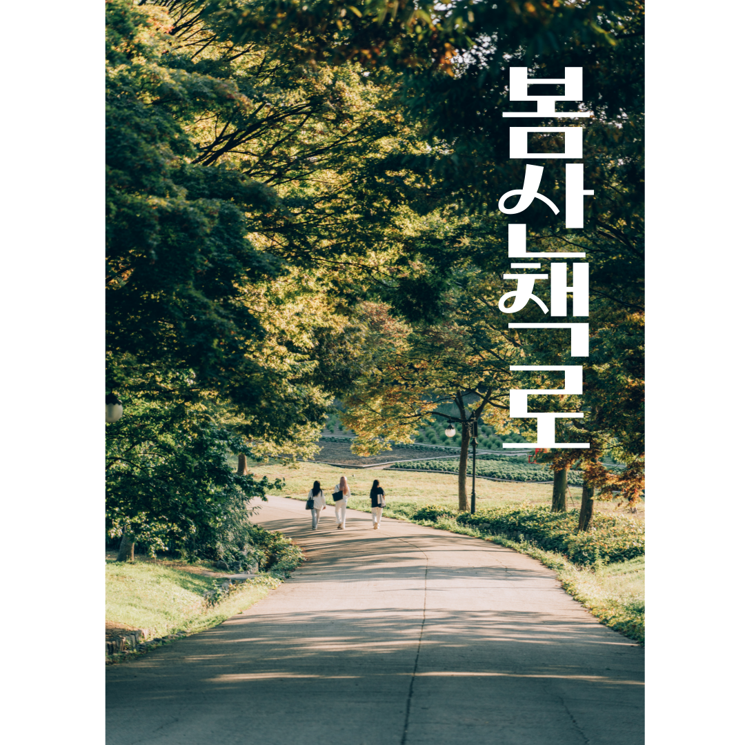 봄 산책로 관련 사진