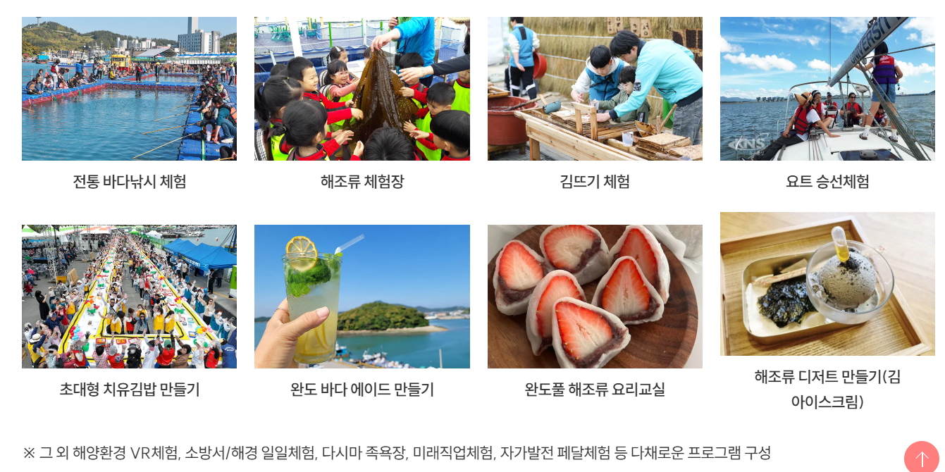2026 Pre 완도 국제 해조류박람회 일정 및 주요 프로그램 총정리: 전복 쿠션부터 바다 식목일까지
