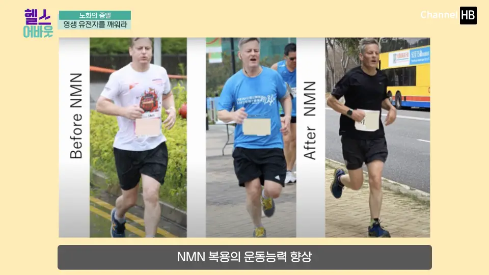 일본NMN36000