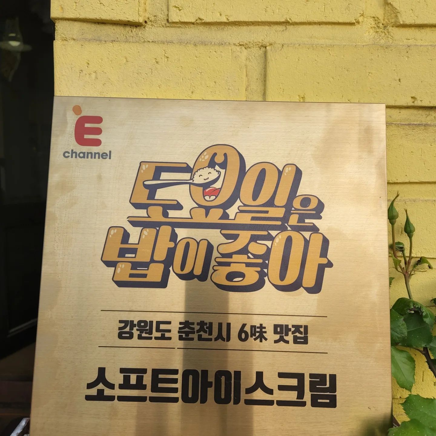제25회 토요일은 밥이좋아 토밥즈 유기농 우유로 만든 아이스크림 맛있는 디저트 가게 춘천 소양강 레고랜드 루프탑 카페