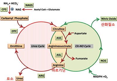 포텐시에이터 2