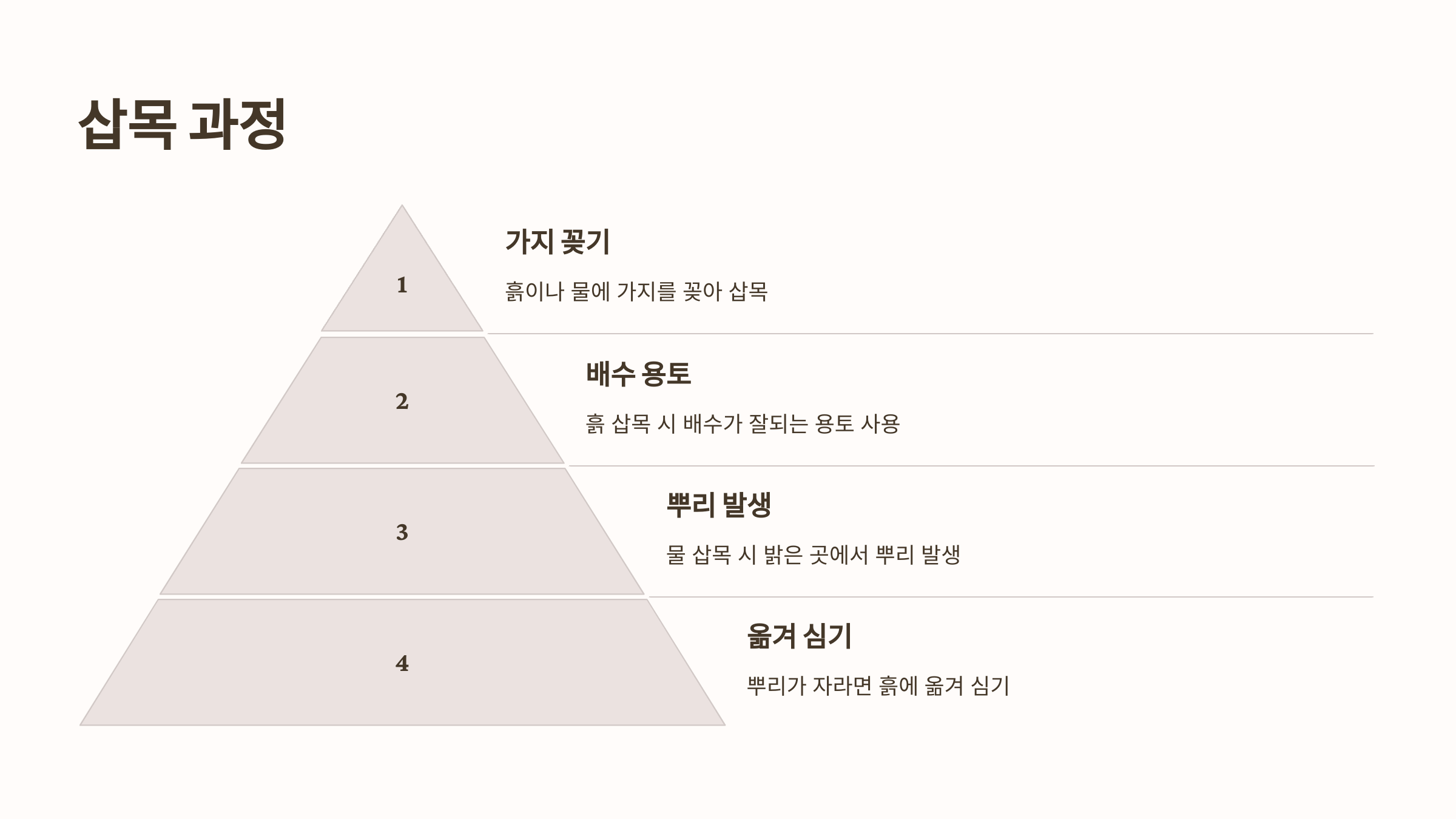 고무나무와 관련된 사진입니다.
