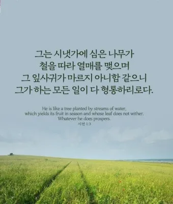 시편 1편 설교 아이디어 묵상 말씀 준비_19