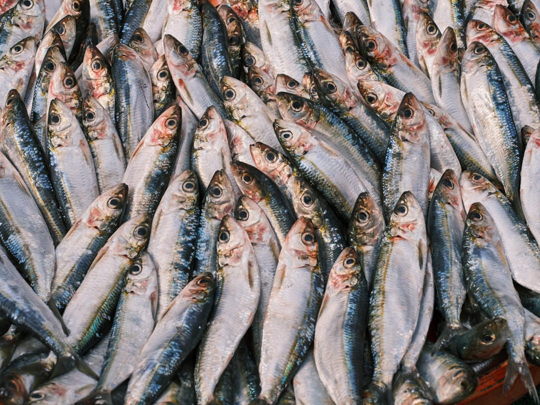 Omega-3