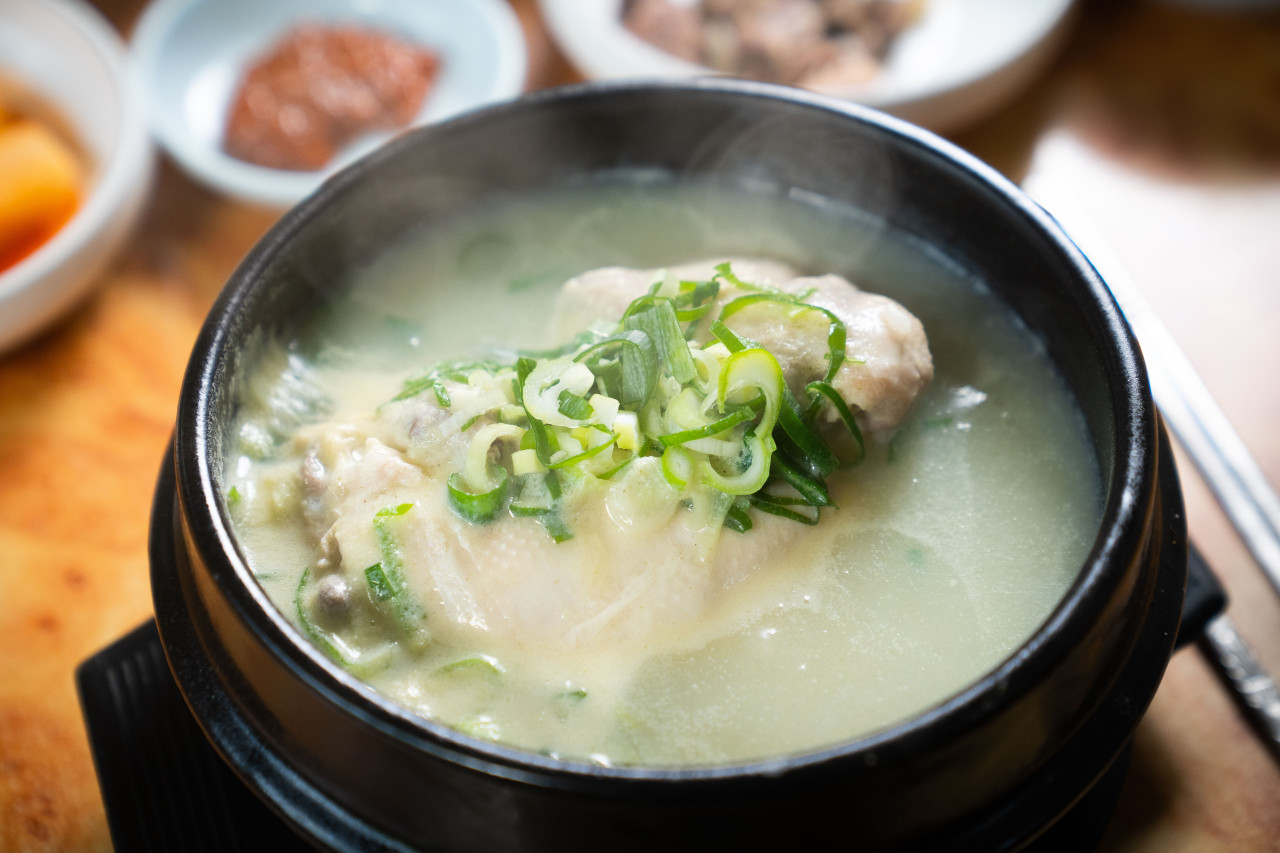 생방송 투데이 삼계탕